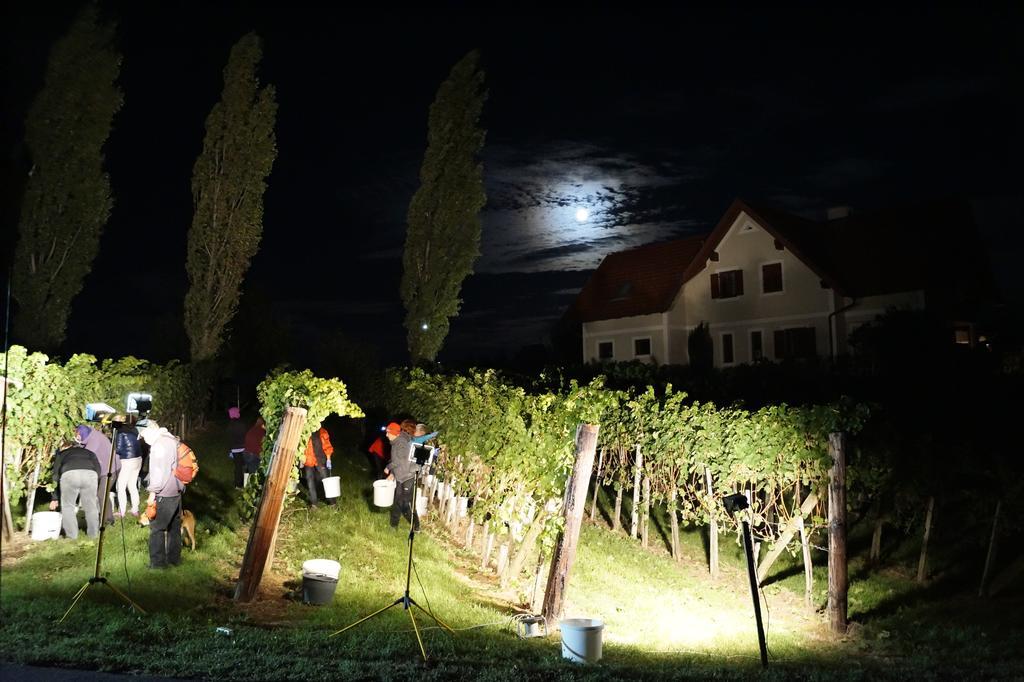 Winzerhof Familie Kloeckl Lägenhet Klöch Exteriör bild