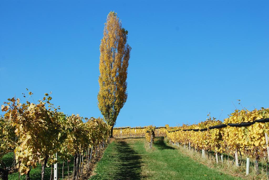 Winzerhof Familie Kloeckl Lägenhet Klöch Exteriör bild
