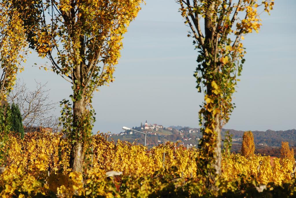 Winzerhof Familie Kloeckl Lägenhet Klöch Exteriör bild