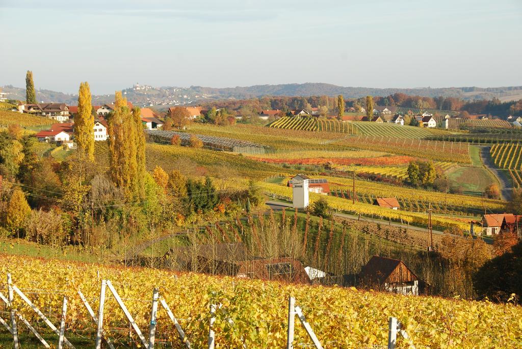 Winzerhof Familie Kloeckl Lägenhet Klöch Exteriör bild