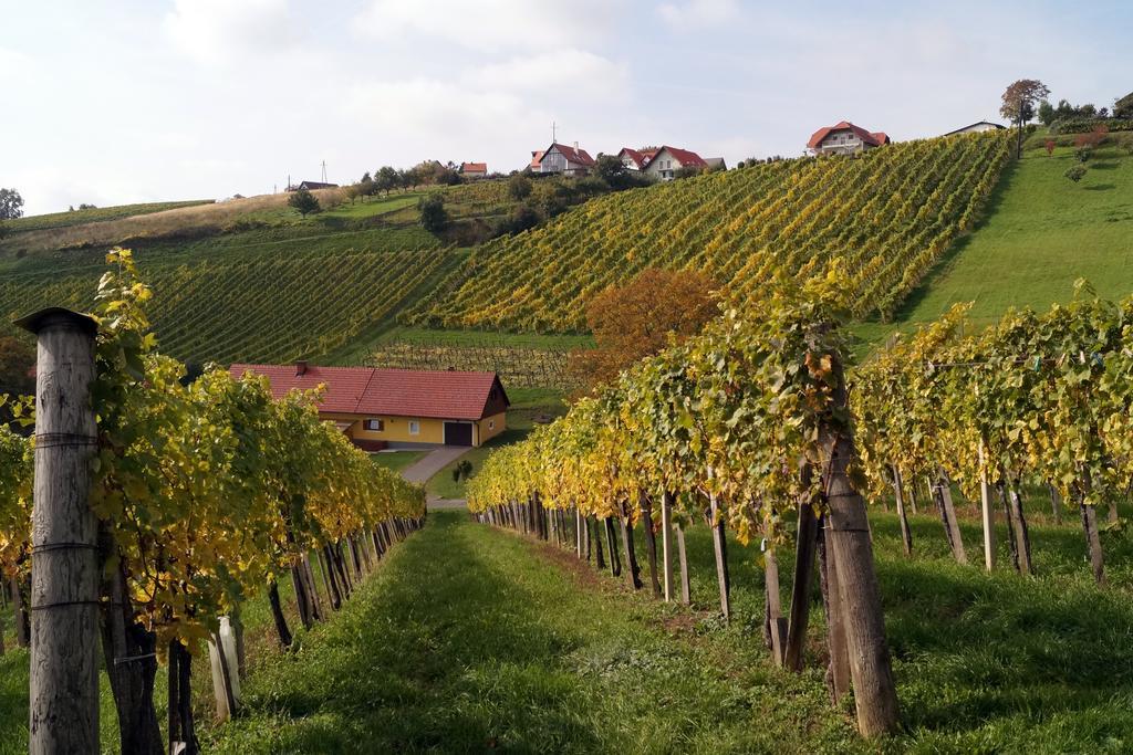 Winzerhof Familie Kloeckl Lägenhet Klöch Exteriör bild
