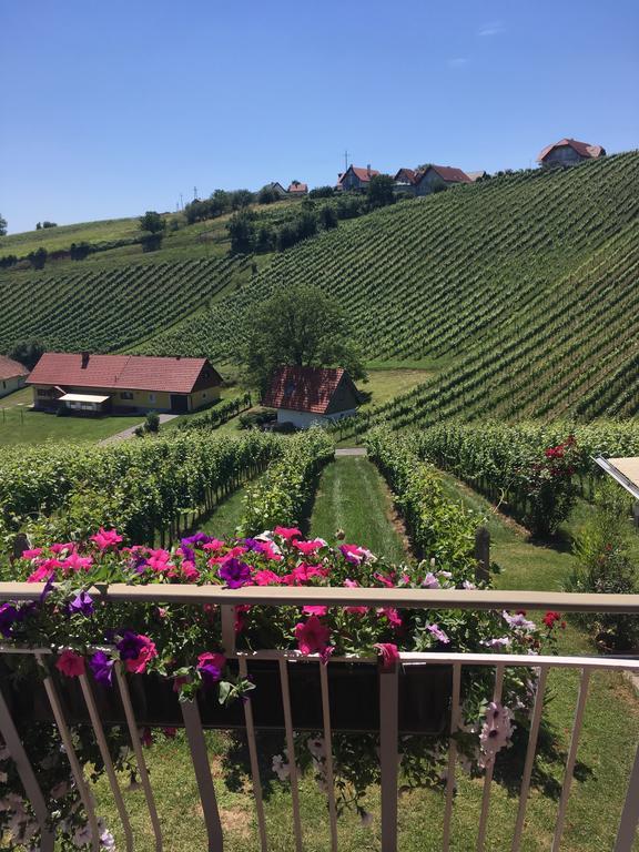 Winzerhof Familie Kloeckl Lägenhet Klöch Exteriör bild